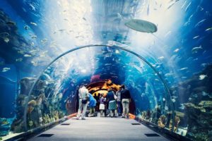 8 best places to visit in Dubai this summer (2022) 2024 best places to visit in dubai this summer