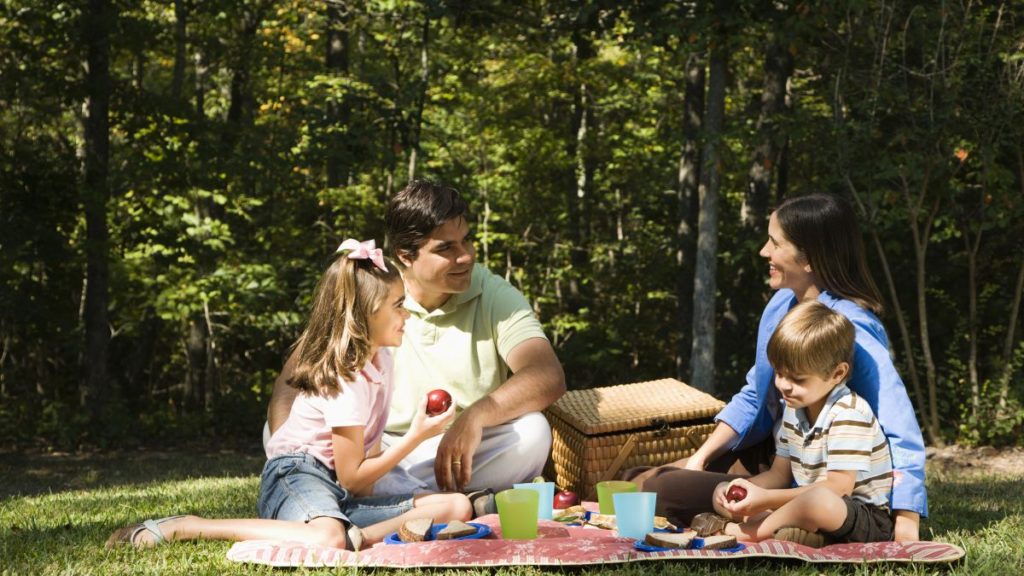 A beautiful garden bursting with color and life, created through the power of planting trees and nurturing the environment