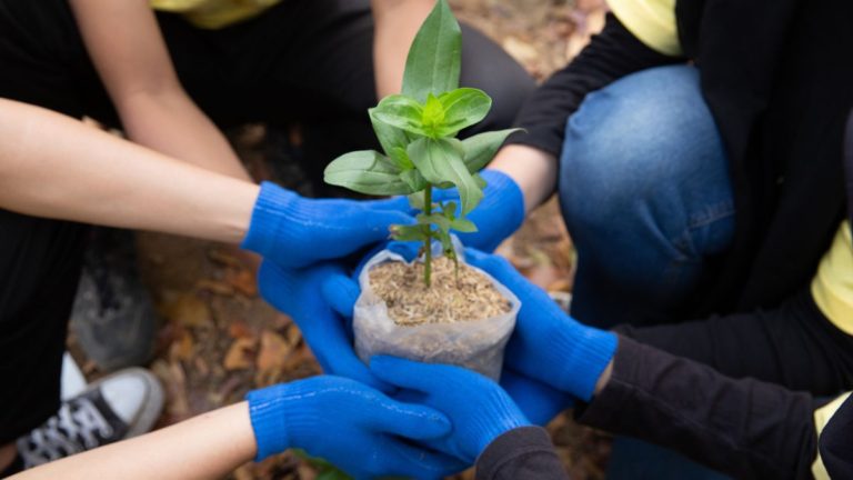 A group of volunteers working together to plant trees in a park, bringing new life and beauty to the area