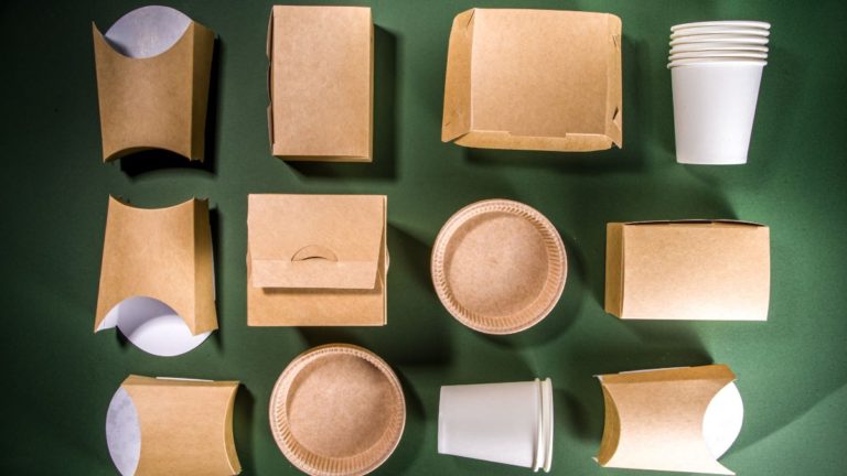 Innovative Sustainable Food Packaging Solutions